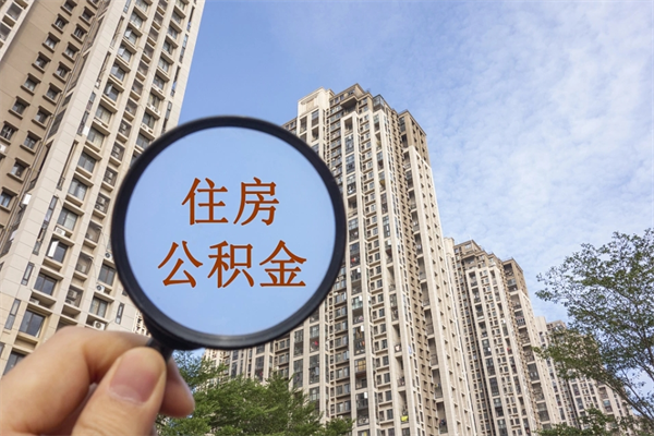查询我的住房公积金-承德公积金代办平台